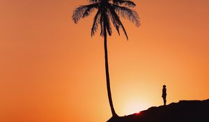 Preview wallpaper palm tree, silhouette, sunset, hill, dark