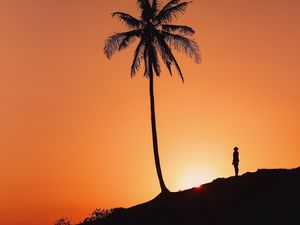 Preview wallpaper palm tree, silhouette, sunset, hill, dark