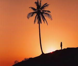 Preview wallpaper palm tree, silhouette, sunset, hill, dark