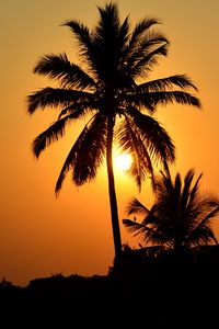 Preview wallpaper palm tree, silhouette, sunset, dark