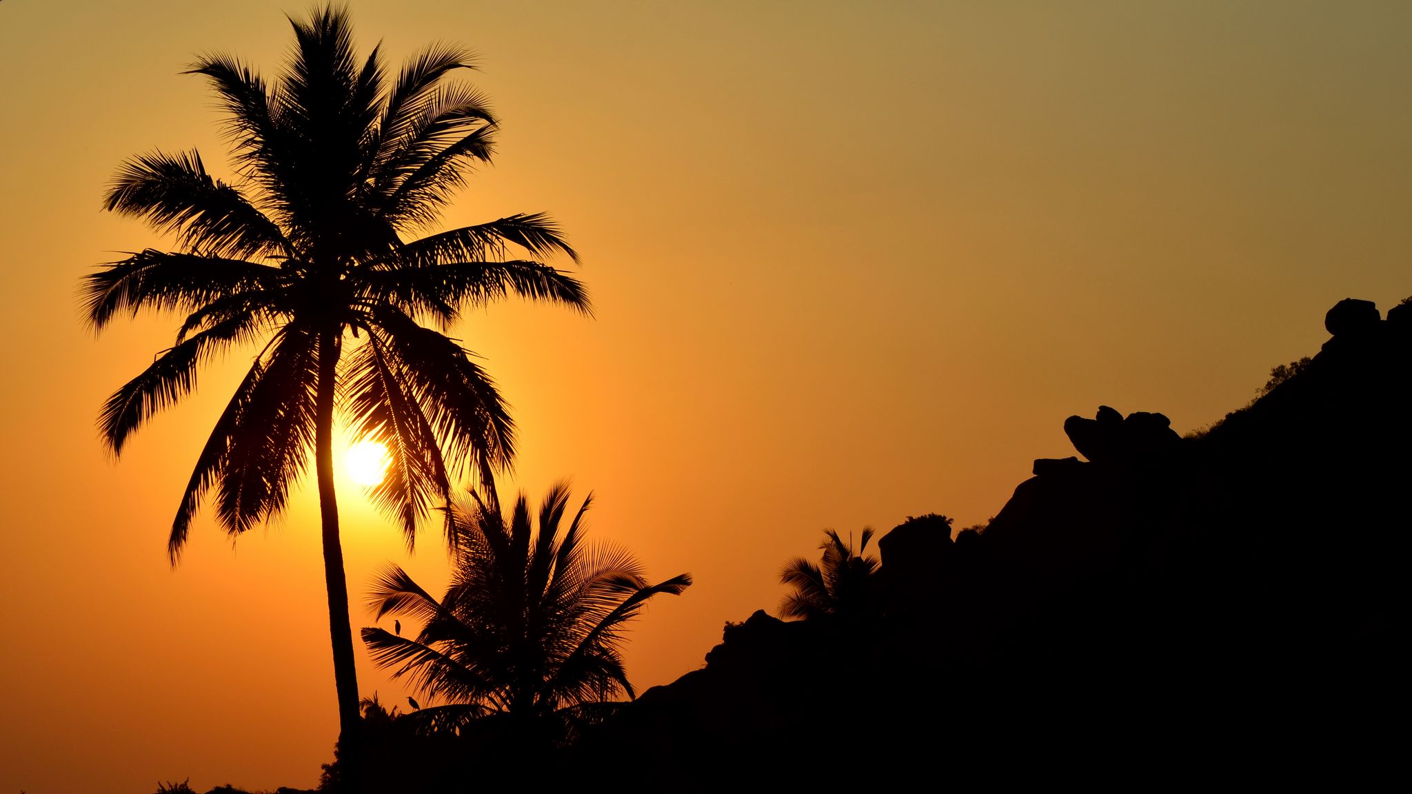 Download wallpaper 2048x1152 palm tree, silhouette, sunset, dark