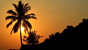 Preview wallpaper palm tree, silhouette, sunset, dark