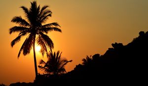 Preview wallpaper palm tree, silhouette, sunset, dark