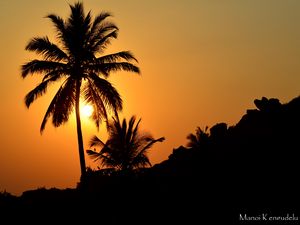 Preview wallpaper palm tree, silhouette, sunset, dark