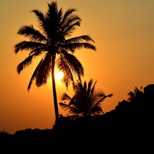 Preview wallpaper palm tree, silhouette, sunset, dark