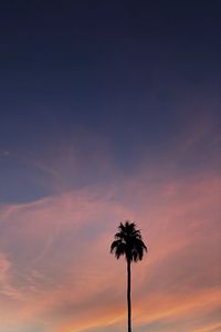 Preview wallpaper palm, tree, sky, clouds, nature