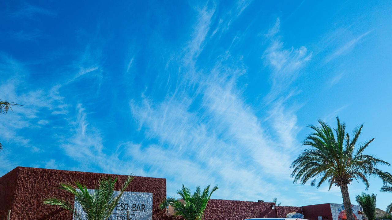 Wallpaper palm tree, sky, summer
