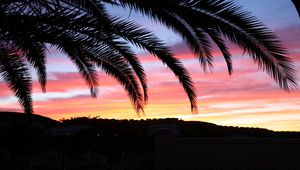 Preview wallpaper palm tree, sky, sunset