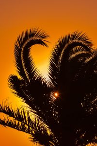 Preview wallpaper palm tree, sunset, leaves, branches