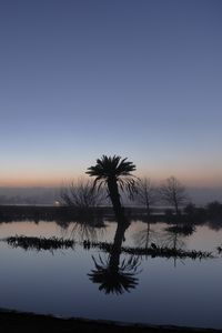 Preview wallpaper palm tree, sunset, water, reflection, silhouette