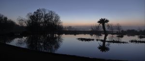 Preview wallpaper palm tree, sunset, water, reflection, silhouette