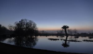 Preview wallpaper palm tree, sunset, water, reflection, silhouette