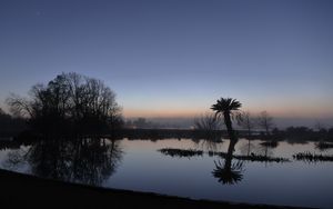 Preview wallpaper palm tree, sunset, water, reflection, silhouette