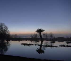 Preview wallpaper palm tree, sunset, water, reflection, silhouette