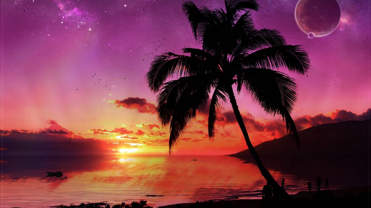 Wallpaper palm tree, tree, evening, sky, planet, stars, sea, decline
