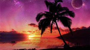 Preview wallpaper palm tree, tree, evening, sky, planet, stars, sea, decline
