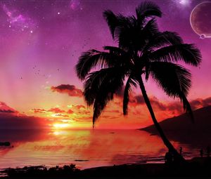 Preview wallpaper palm tree, tree, evening, sky, planet, stars, sea, decline