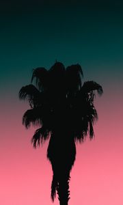 Preview wallpaper palm tree, tree, silhouette, dusk, dark