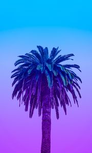 Preview wallpaper palm tree, tree, sky, gradient, minimalism