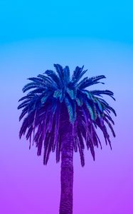 Preview wallpaper palm tree, tree, sky, gradient, minimalism