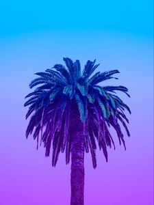 Preview wallpaper palm tree, tree, sky, gradient, minimalism