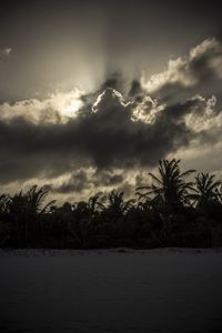 Preview wallpaper palm trees, beach, clouds, dark