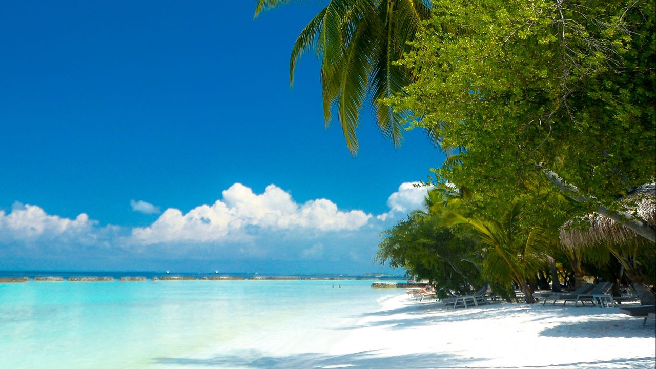 Wallpaper palm trees, beach, ocean, tropics, coast, paradise