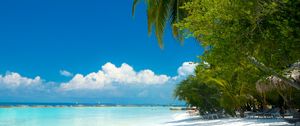 Preview wallpaper palm trees, beach, ocean, tropics, coast, paradise