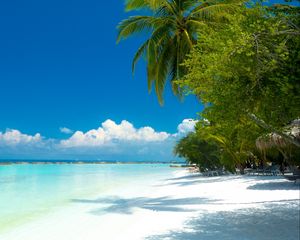 Preview wallpaper palm trees, beach, ocean, tropics, coast, paradise
