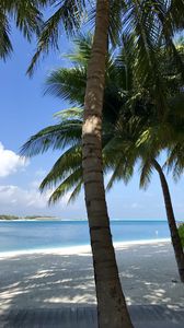 Preview wallpaper palm trees, beach, ocean, tropics, nature