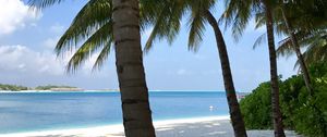 Preview wallpaper palm trees, beach, ocean, tropics, nature