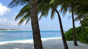 Preview wallpaper palm trees, beach, ocean, tropics, nature