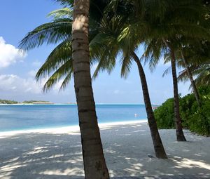 Preview wallpaper palm trees, beach, ocean, tropics, nature