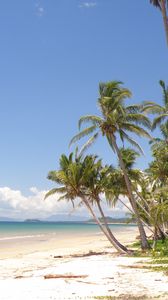 Preview wallpaper palm trees, beach, ocean, tropics