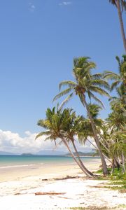 Preview wallpaper palm trees, beach, ocean, tropics