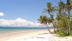 Preview wallpaper palm trees, beach, ocean, tropics