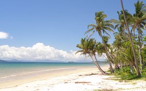 Preview wallpaper palm trees, beach, ocean, tropics