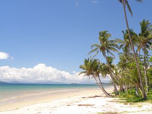 Preview wallpaper palm trees, beach, ocean, tropics