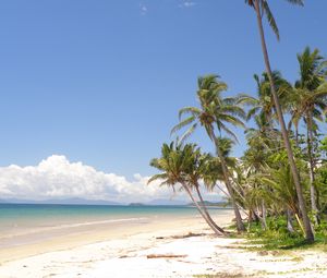 Preview wallpaper palm trees, beach, ocean, tropics