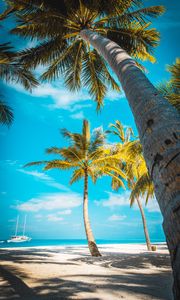 Preview wallpaper palm trees, beach, sand, tropics, paradise