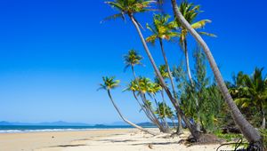 Preview wallpaper palm trees, beach, sand, tropics