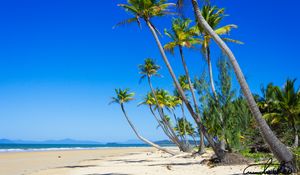 Preview wallpaper palm trees, beach, sand, tropics