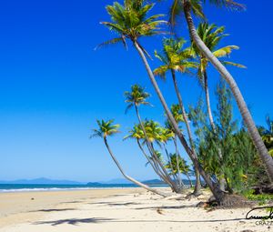 Preview wallpaper palm trees, beach, sand, tropics