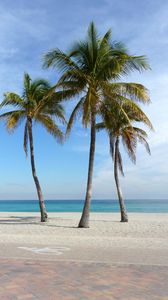 Preview wallpaper palm trees, beach, sand, tropics, ocean