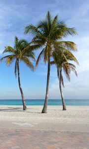 Preview wallpaper palm trees, beach, sand, tropics, ocean
