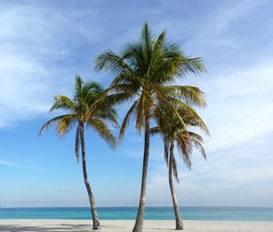 Preview wallpaper palm trees, beach, sand, tropics, ocean