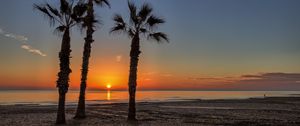 Preview wallpaper palm trees, beach, sand, sea, tropics, sunset