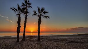 Preview wallpaper palm trees, beach, sand, sea, tropics, sunset