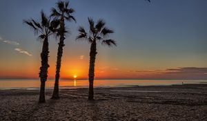 Preview wallpaper palm trees, beach, sand, sea, tropics, sunset