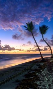 Preview wallpaper palm trees, beach, sea, tropics